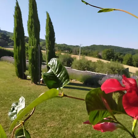 Appartamento Suite Assisi