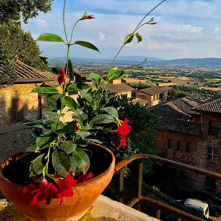 Suite Assisi