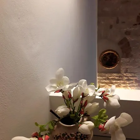 阿西西套房公寓 *